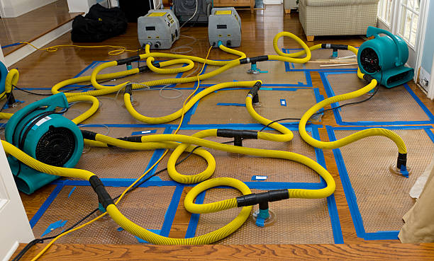 Professional Storm Water Damage Restoration technician working in Altura, MN